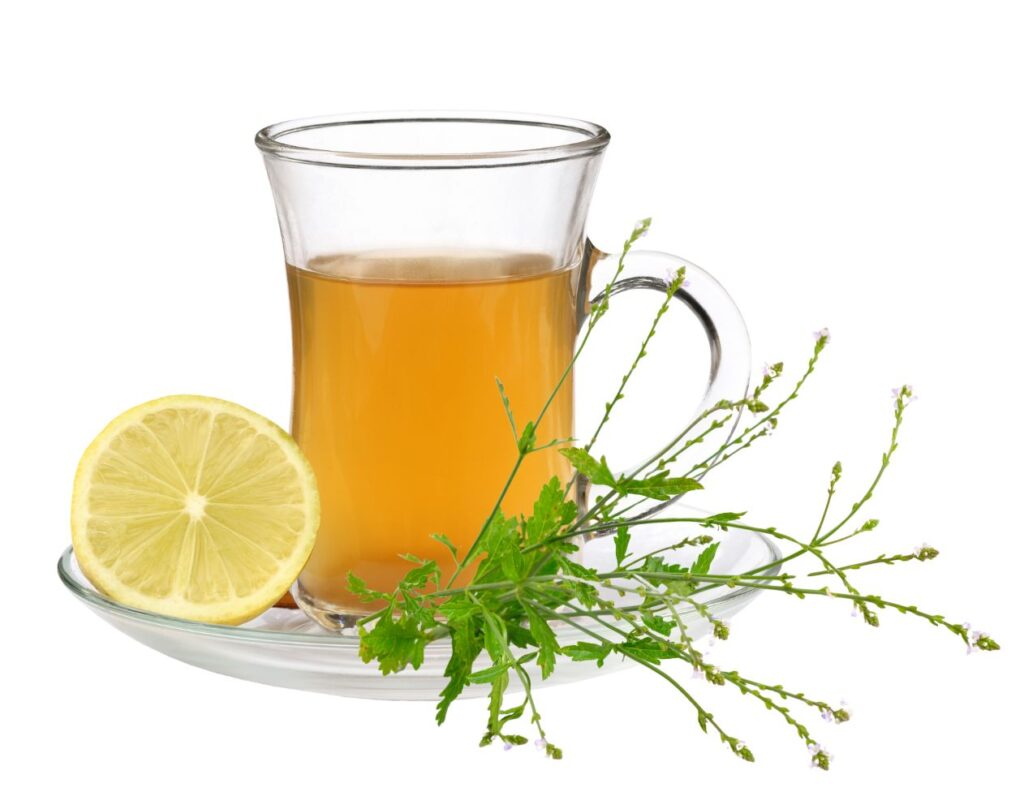 Verbena officinalis - Best Natural Remedies for PMS (Premenstrual Syndrome) - MyNaturalTreatment.com