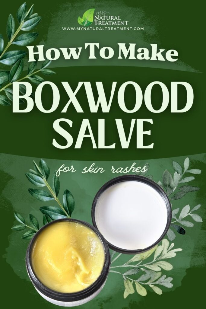 How to Make Boxwood Salve for Skin Rashes 4 How to Make Boxwood Salve for Skin Rashes - MyNaturalTreatment.com