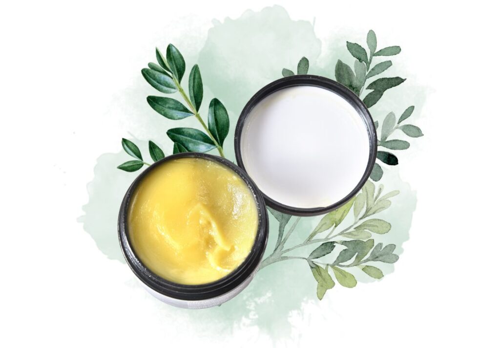 How to Make Boxwood Salve for Skin Rashes 3 How to Make Boxwood Salve for Skin Rashes - MyNaturalTreatment.com