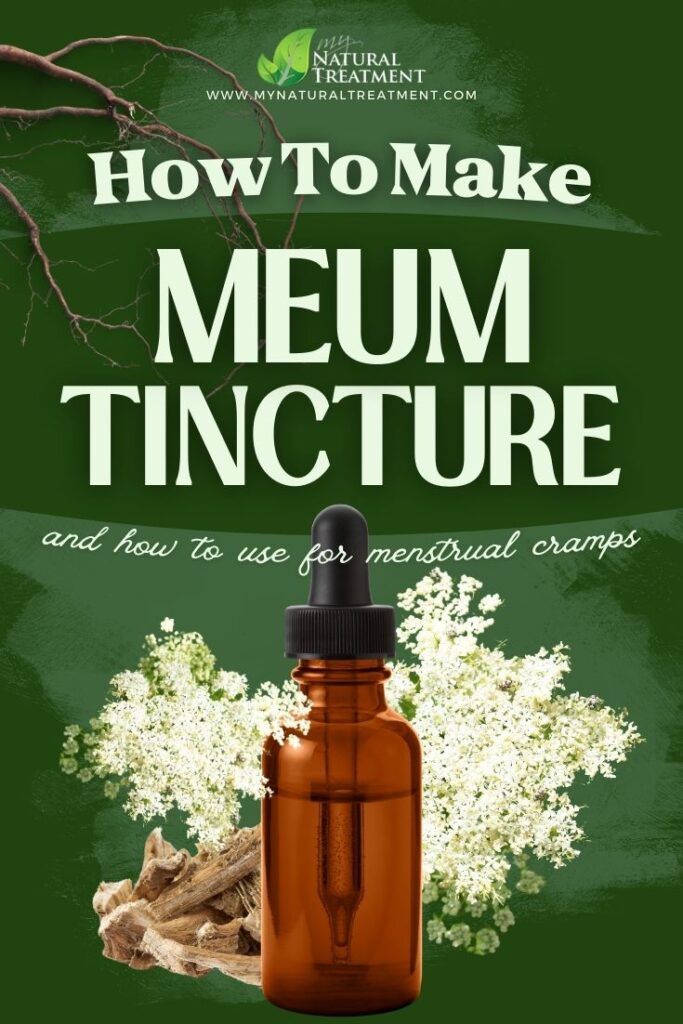 How to Make Meum Tincture for Menstrual Cramps 5 How to Make Meum Tincture for Menstrual Cramps - Meum Tincture Recipe - MyNaturalTreatment.com