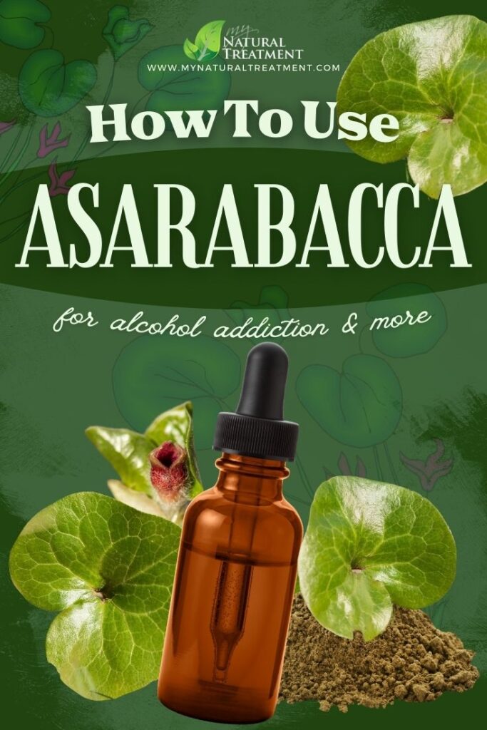 How to Use Asarabacca for Alcohol Addiction 5 How to Use Asarabacca for Alcohol Addiction