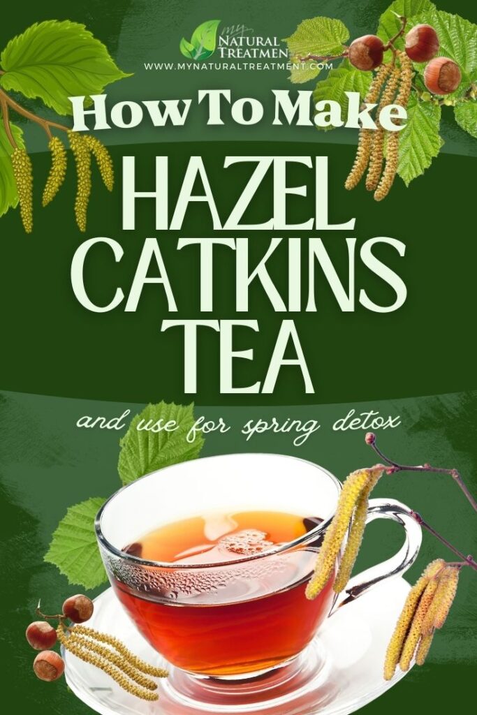 How to Make Hazel Catkins Tea & Use for Spring Detox 4 How to Make Hazel Catkins Tea & Use for Spring Detox - Spring Detox Tea - MyNaturalTreatment.com