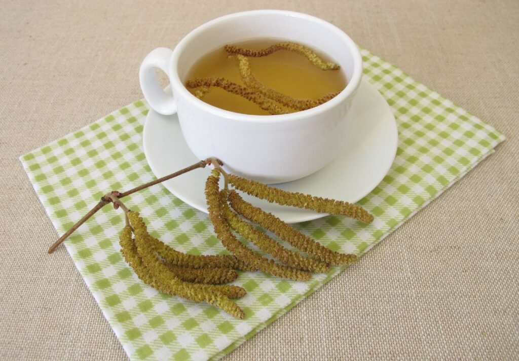 How to Make Hazel Catkins Tea & Use for Spring Detox 3 How to Make Hazel Catkins Tea & Use for Spring Detox - Spring Detox Tea - MyNaturalTreatment.com
