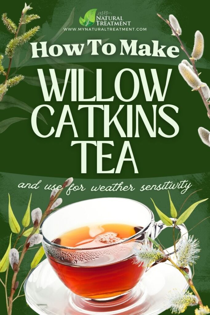 How to Make Willow Catkins Tea for Weather Sensitivity 5 How to Make Willow Catkins Tea for Weather Sensitivity