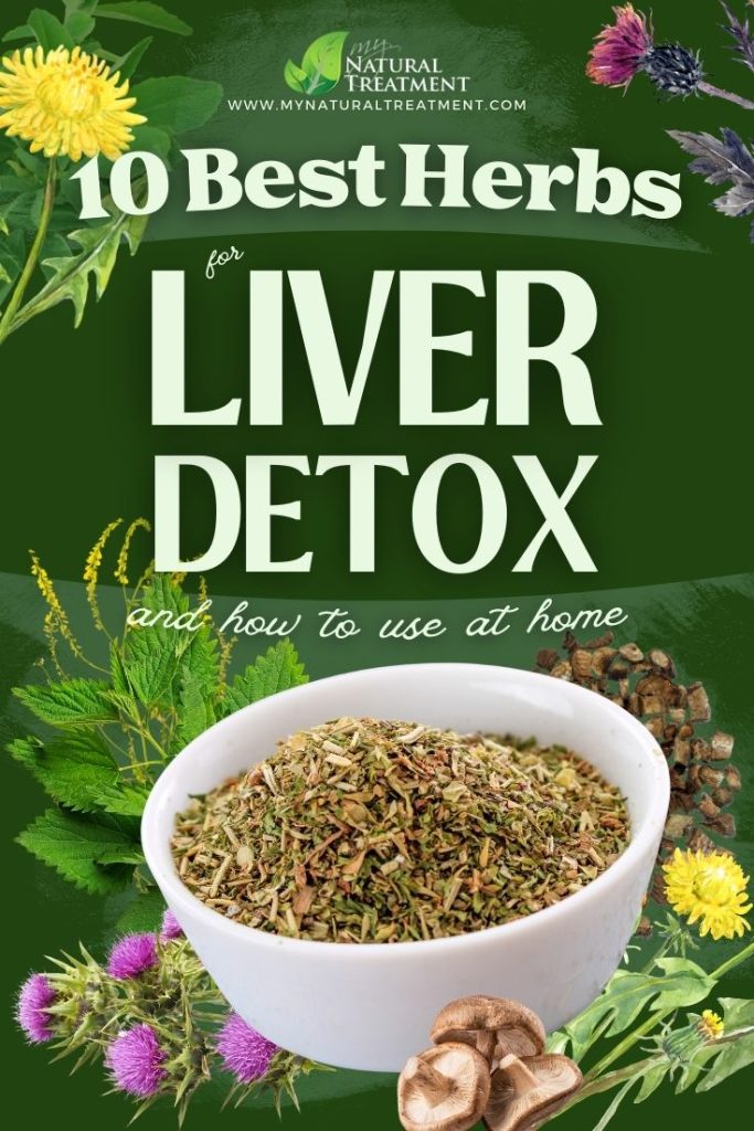 10 Best Herbs for Liver Detox and How to Use 24 10 Best Herbs for Liver Detox and How to Use - Liver Detox Herbs - MyNaturalTreatment.com