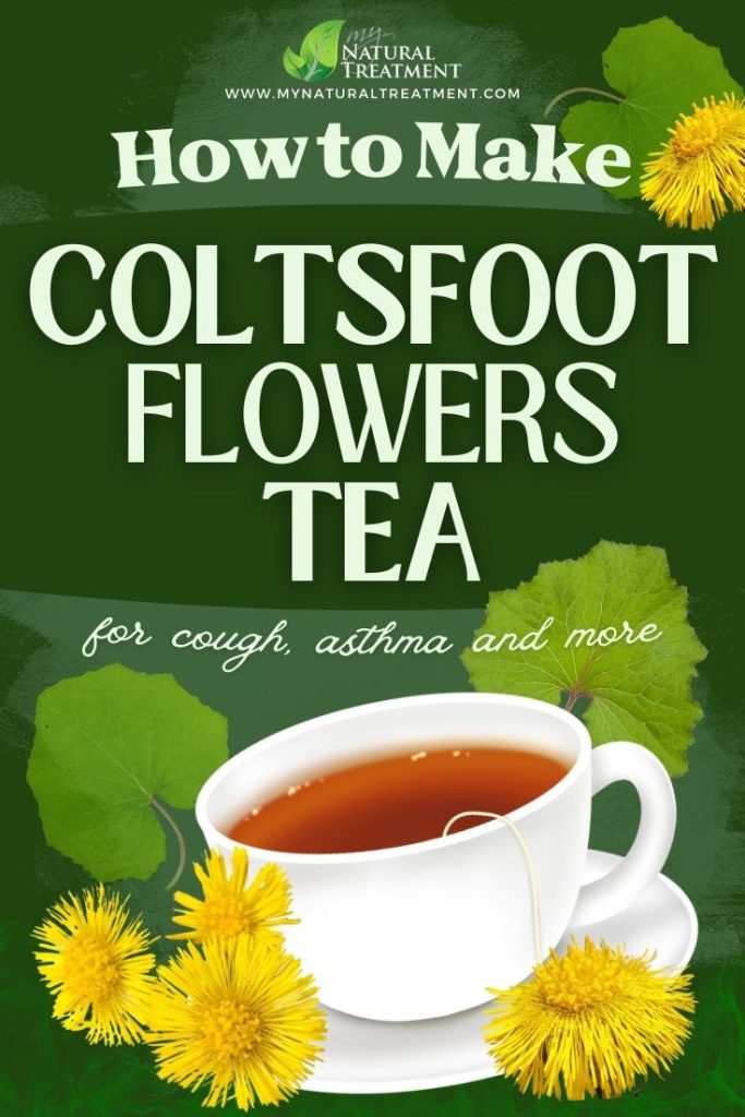 How to Make Coltsfoot Flowers Tea for Cough 4 How to Make Coltsfoot Flowers Tea for Cough - MyNaturalTreatment.com