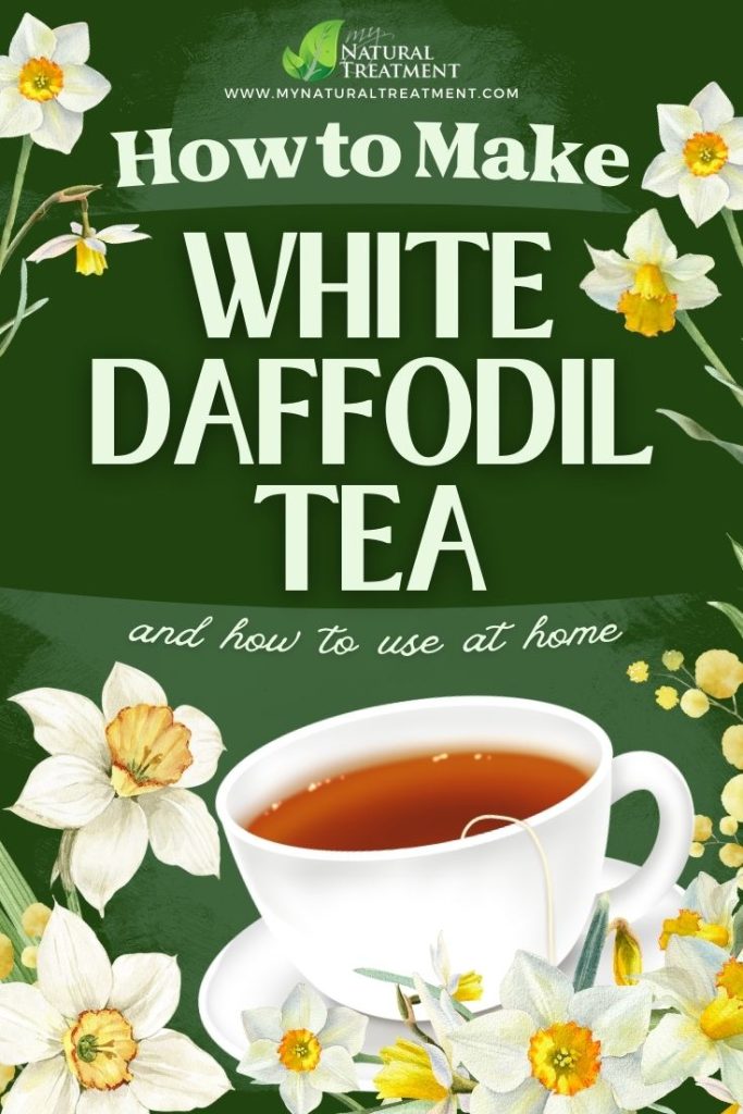 How to Make White Daffodil Tea & Use as Medicine - MyNaturalTreatment.com