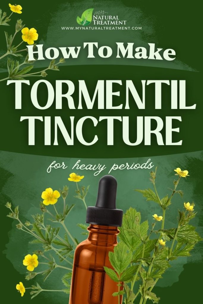 How to Make Tormentil Tincture for Heavy Periods 5 How to Make Tormentil Tincture for Heavy Periods MyNaturalTreatment.com 2