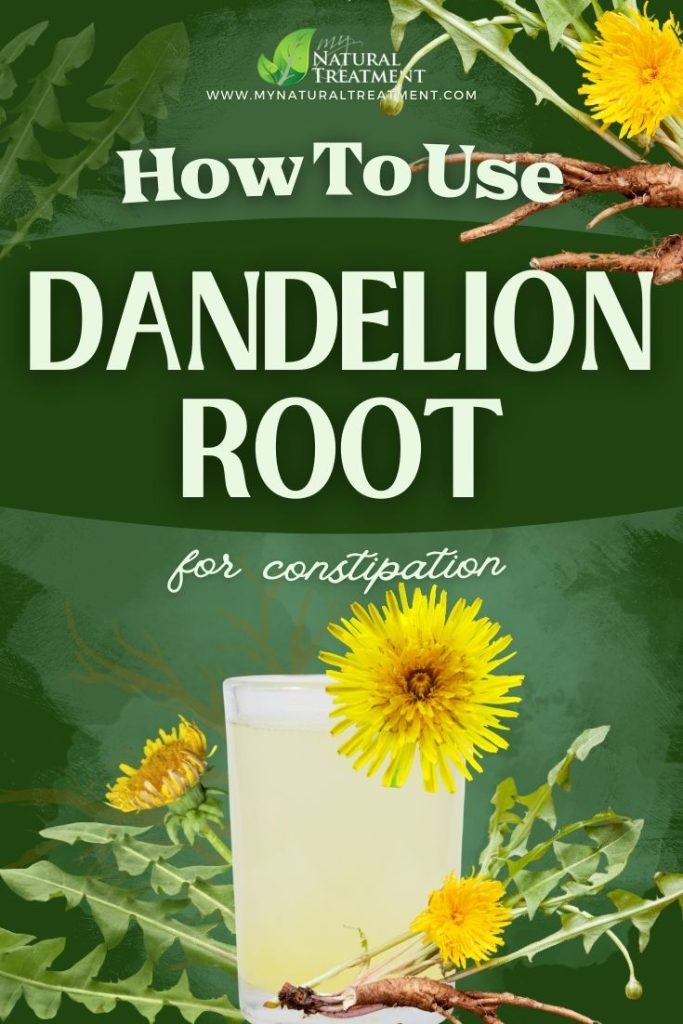How to Use Dandelion Root for Constipation 4 How to Use Dandelion Root for Constipation - MyNaturalTreatment.com