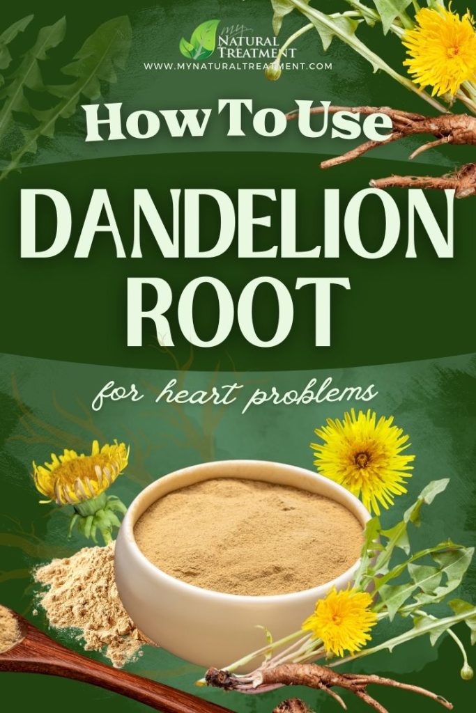 How to Use Dandelion Root for Heart Problems 5 How to Use Dandelion Root for Heart Problems - MyNaturalTreatment.com