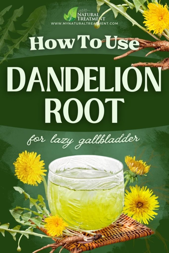 How to Use Dandelion Root for Lazy Gallbladder 5 How to Use Dandelion Root for Lazy Gallbladder - MyNaturalTreatment.com