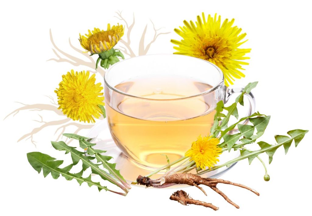 How to Use Dandelion Root for Skin Problems 3 How to Use Dandelion Root for Skin Problems - MyNaturalTreatment.com