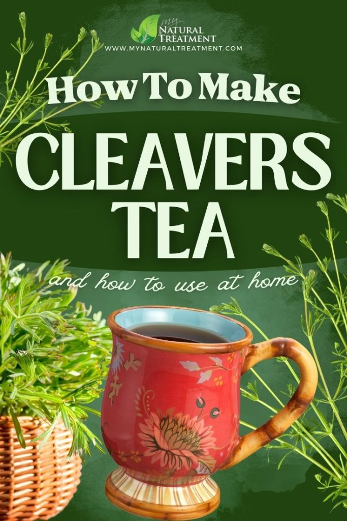 How to Make Cleavers Tea and Use at Home 5 How to Make Cleavers Tea and Use at Home - Cleavers Uses - Cleavers Tea Recipe - MyNaturalTreatment.com