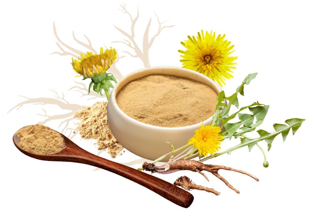 How to Use Dandelion Root for Liver Problems 3 How to Use Dandelion Root for Liver Problems - MyNaturalTreatment.com