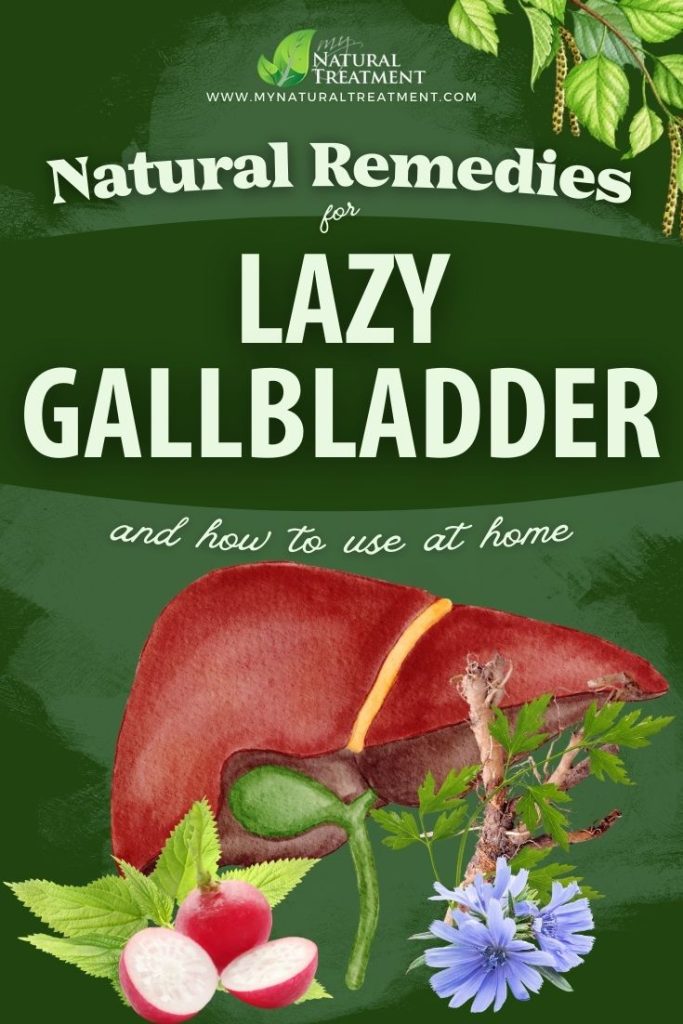 4 Powerful Natural Remedies for Lazy Gallbladder 10 4 Powerful Natural Remedies for Lazy Gallbladder - MyNaturalTreatment.com