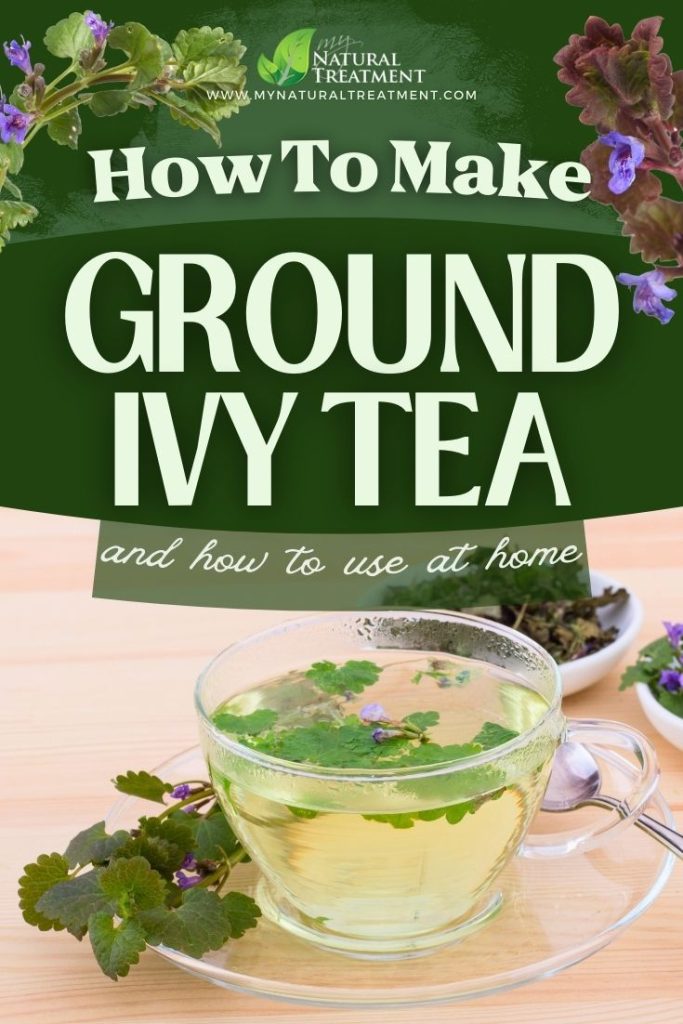 How to Make Ground Ivy Tea and Use at Home 10 How to Make Ground Ivy Tea and Use at Home - MyNaturalTreatment.com