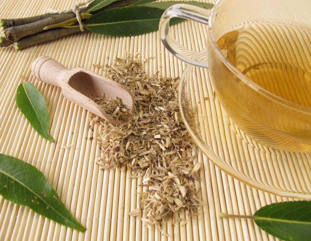 How to Make Willow Bark Tea and Use at Home 3 How to Make Willow Bark Tea Uses - MyNaturalTreatment.com