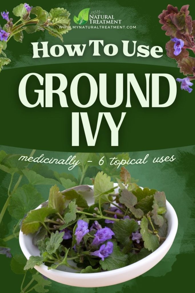 How to Use Ground Ivy Medicinally 6 Topical Uses - MyNaturalTreatment.com