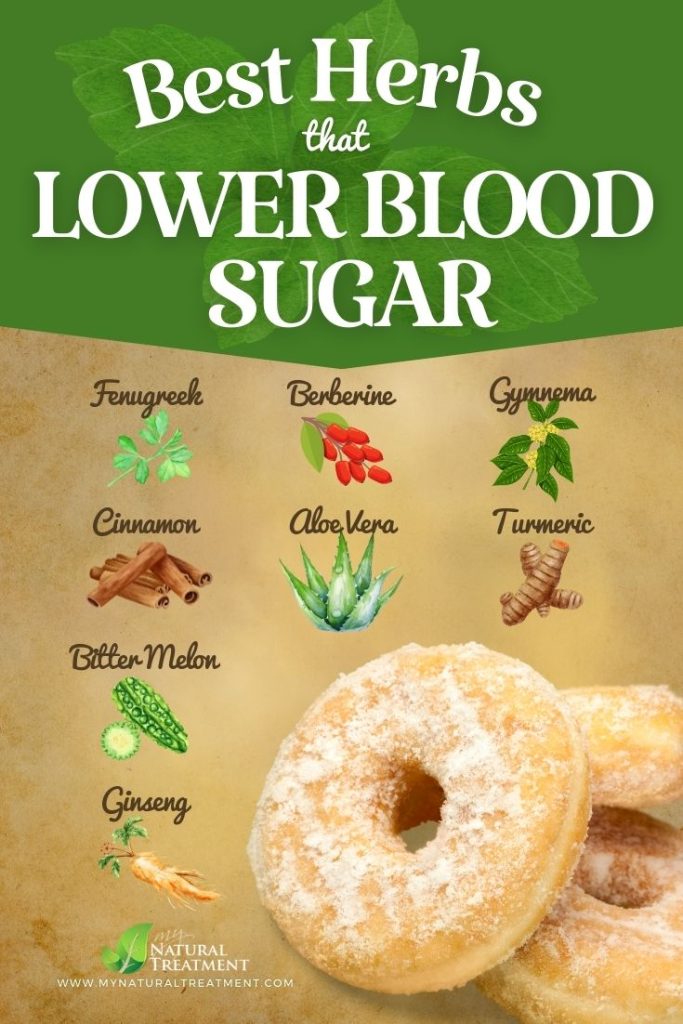 8 Powerful Herbs that Lower Blood Sugar Backed by Science - MyNaturalTreatment.com