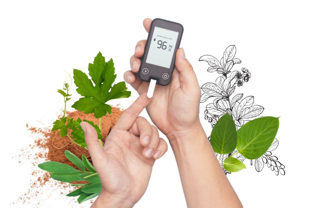 8 Powerful Herbs that Lower Blood Sugar Backed by Science - MyNaturalTreatment.com