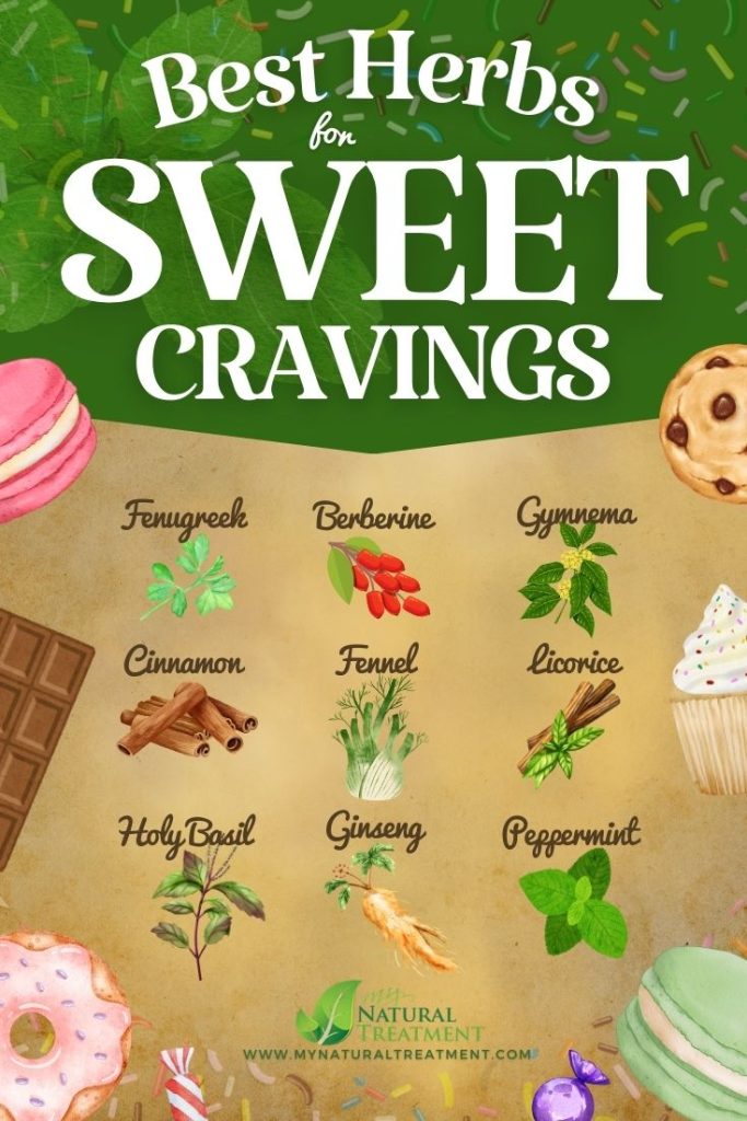 9 Best Herbs for Sweet Cravings & How to Use 12 9 Best Herbs for Sweet Cravings & How to Use - MyNaturalTreatment.com