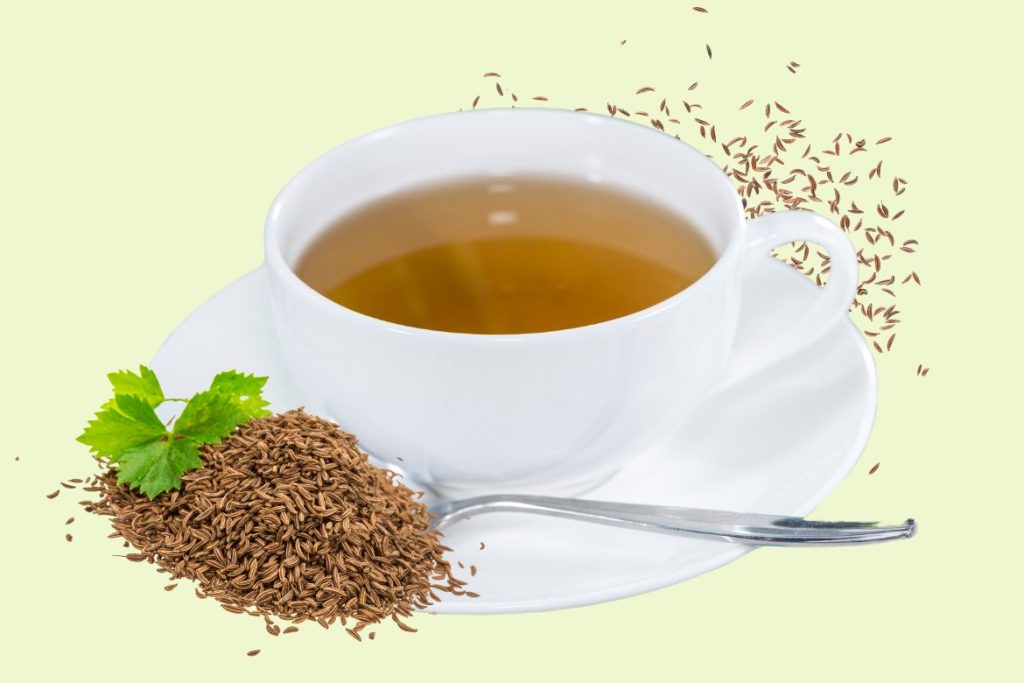 How to Make Caraway Tea and Its Amazing Health Uses 3 How to Make Caraway Tea - Caraway Tea Uses - MyNaturalTreatment.com