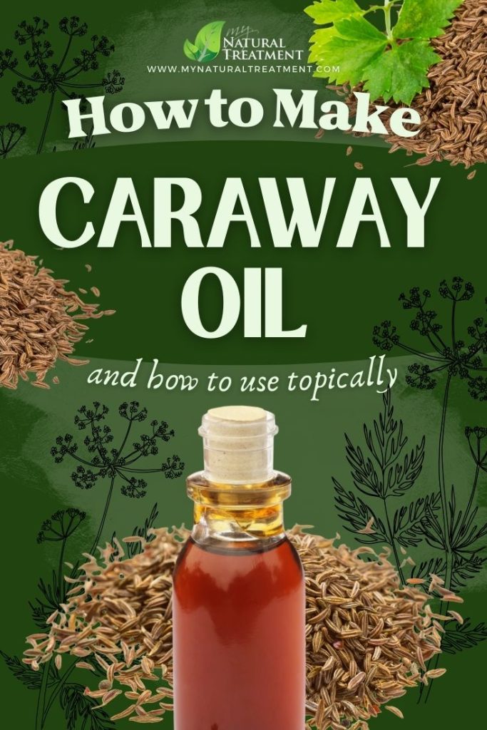 How to Make Caraway Oil and Use at Home 5 How to Make Caraway Oil - Caraway Oil Recipe - Caraway Oil Uses - MyNaturalTreatment.com
