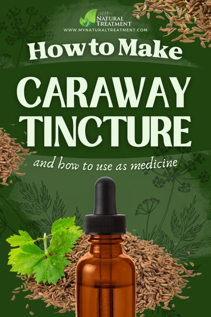 How to Make Caraway Tincture and Use at Home 5 How to Make Caraway Tincture - Caraway Tincture Recipe - Caraway Tincture Uses - MyNaturalTreatment.com