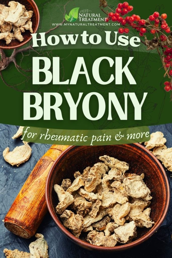 How to Use Black Bryony for Rheumatic Pain and More 6 How to Use Black Bryony for Rheumatic Pain and More - Black Bryony Uses - Black Bryony root - MyNaturalTreatment.com - MyNaturalTreatment.com
