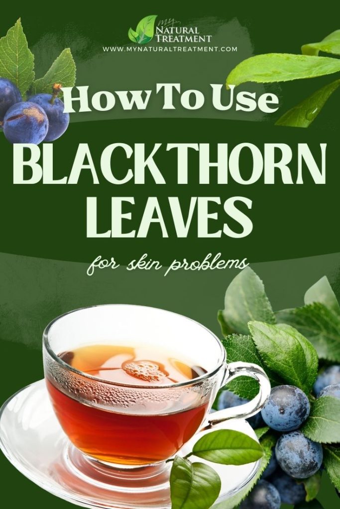 How to Use Blackthorn Leaves for Skin Problems 4 How to Use Blackthorn Leaves for Skin Problems - MyNaturalTreatment.com - MyNaturalTreatment.com