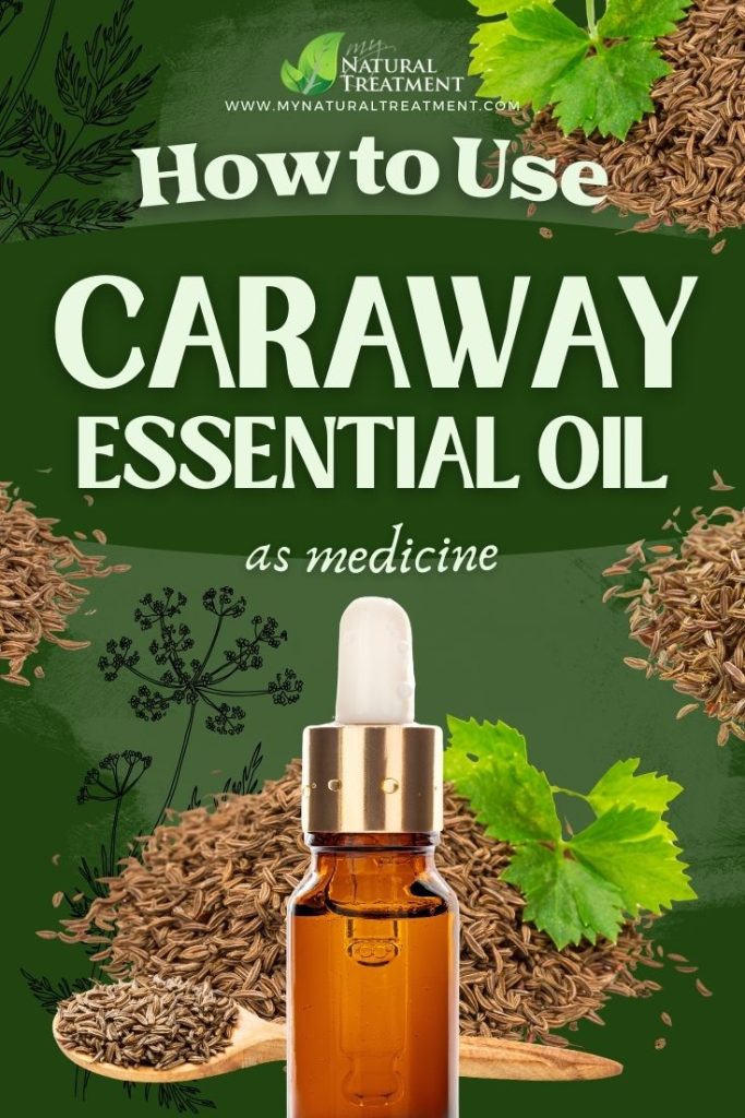 How to Use Caraway Essential Oil as Medicine 5 How to Use Caraway Essential Oil as Medicine Caraway essential oil Uses MyNaturalTreatment.com 1