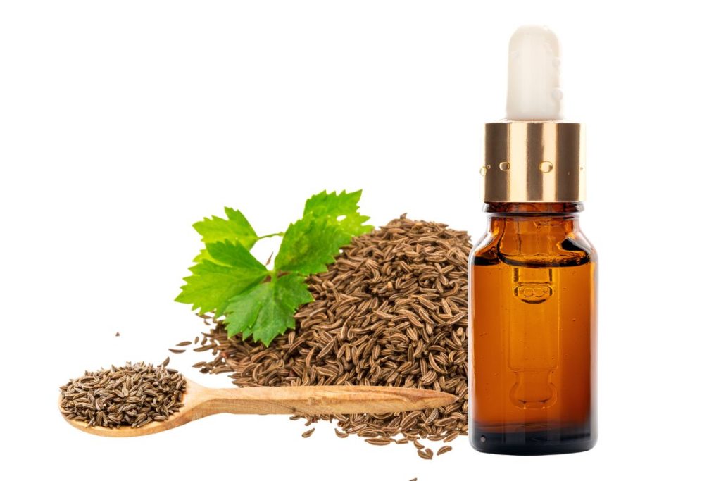 How to Use Caraway Essential Oil as Medicine 3 How to Use Caraway Essential Oil as Medicine - Caraway essential oil uses - MyNaturalTreatment.com.jpg