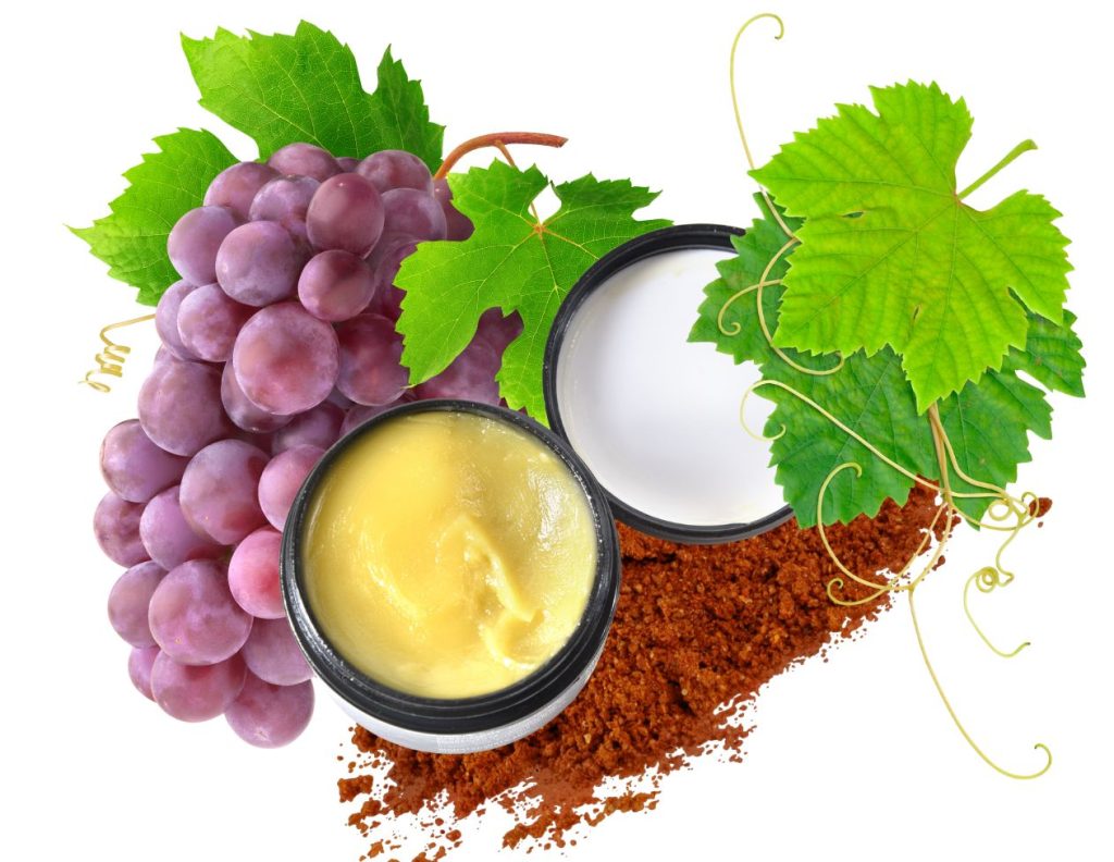 How to Make Grape Pomace Salve for Skin Problems 3 What Is Grape Pomace Used For - How to Make Grape Pomace Salve for Skin Problems - Topical Uses of Grape Pomace - MyNaturalTreatment.com