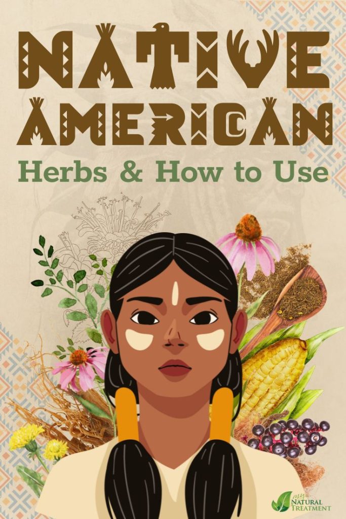 10 Forgotten Native American Remedies & How to Use - 7 Must-Know Native American Herbs and Their Healing Benefits - MyNaturalTreatment.com - MyNaturalTreatment.com
