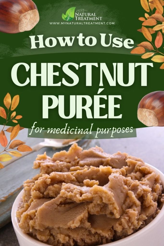 5 Forgotten Medicinal Uses of Chestnut Puree with Directions - Sweet Chestnut Uses - MyNaturalTreatment.com