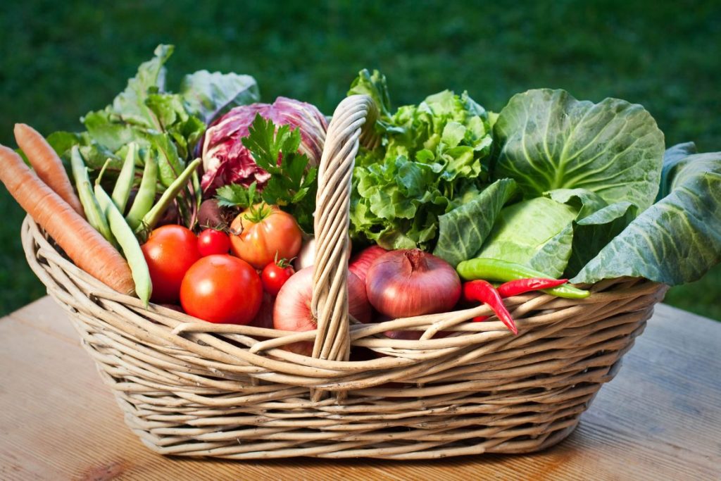 Eva Lubke's Tyrol Remedies with 10 Vegetables and How to Use 3 Eva Lubke's Tyrol Remedies with 10 Vegetables and How to Use