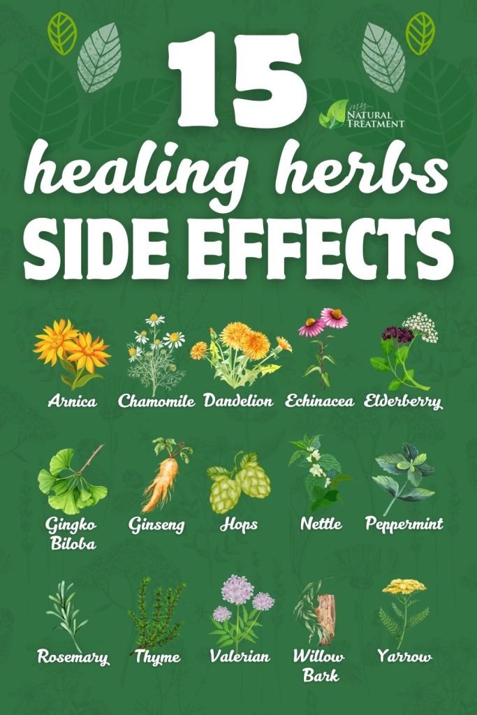 Herbal Medicine Side Effects: Safety and Precautions for 15 Medicinal Herbs - MyNaturalTreatment.com