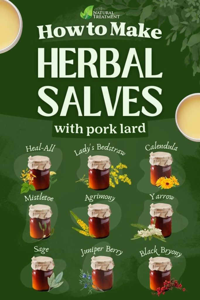 How to Make Herbal Salve with Pork Lard – 9 Fantastic Recipes -How to Make Herbal Salves at Home - MyNaturalTreatment.com