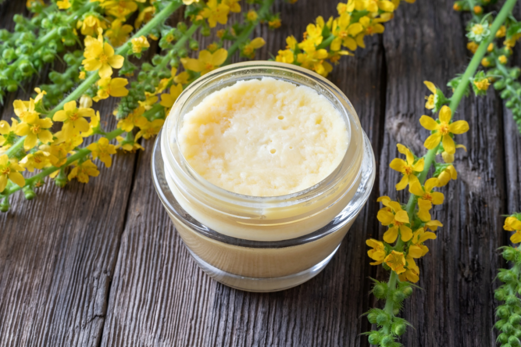 How to Make Herbal Salve with Pork Lard - Agrimony Salve Recipe - MyNaturalTreatment.com
