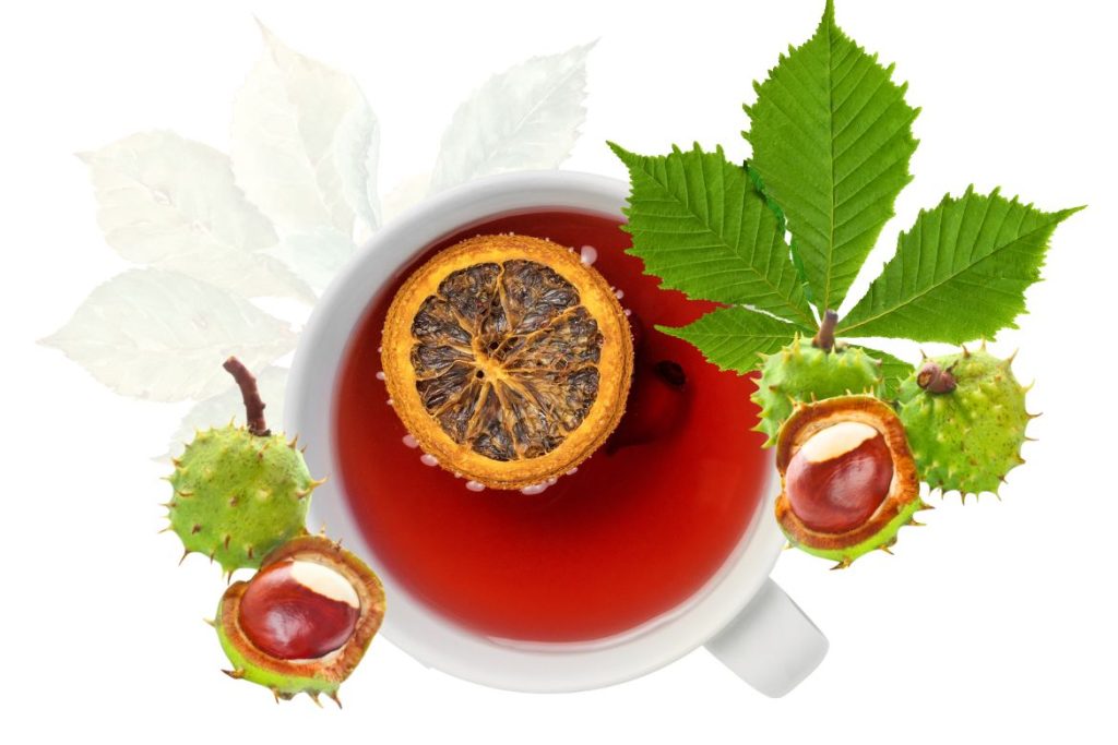 How to Make Horse Chestnut Decoction and Use at Home 3 How to Make Horse Chestnut Decoction Uses - MyNaturalTreatment.com
