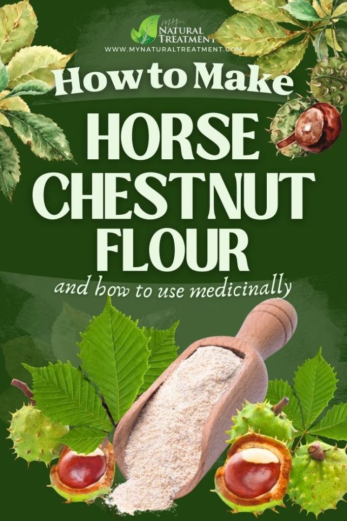 How to Make Horse Chestnut Flour and Use Medicinally 5 How to Make Horse Chestnut Flour Uses - Horse Chestnut Uses - MyNaturalTreatment.com