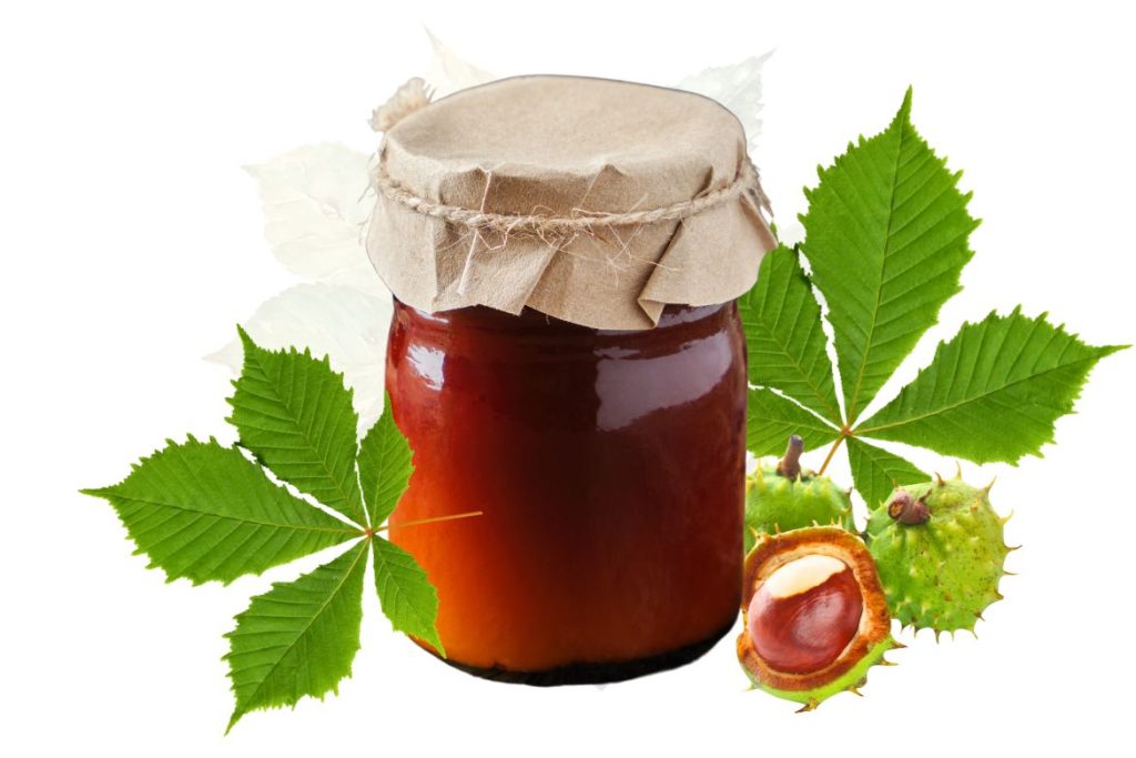How to Make Horse Chestnut Leaf Salve for Sunburn 3 How to Make Horse Chestnut Leaf Salve Recipe - MyNaturalTreatment.com