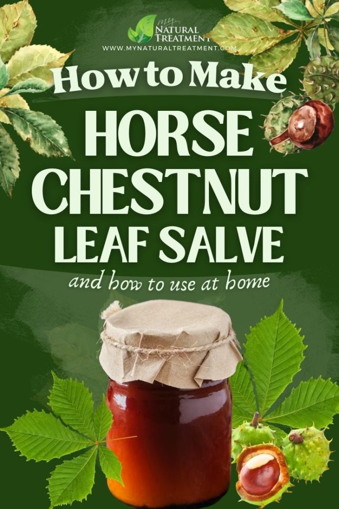 How to Make Horse Chestnut Leaf Salve for Sunburn 4 How to Make Horse Chestnut Leaf Salve Uses - Horse Chestnut Uses - MyNaturalTreatment.com