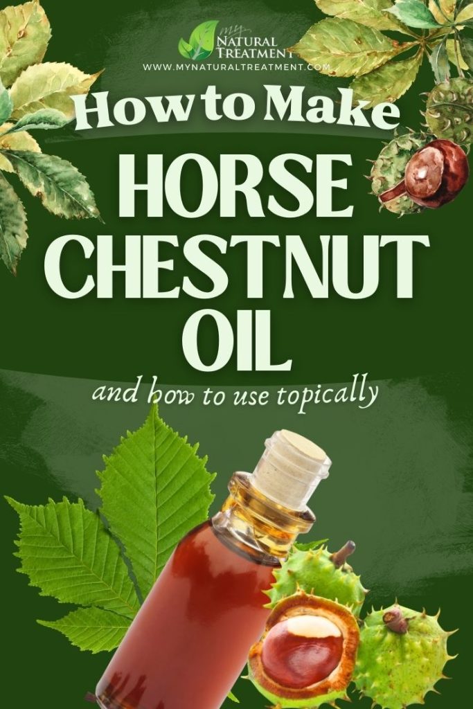 How to Make Horse Chestnut Oil for Strengthening Blood Vessels 4 How to Make Horse Chestnut Oil Uses - Horse Chestnut Uses - MyNaturalTreatment.com