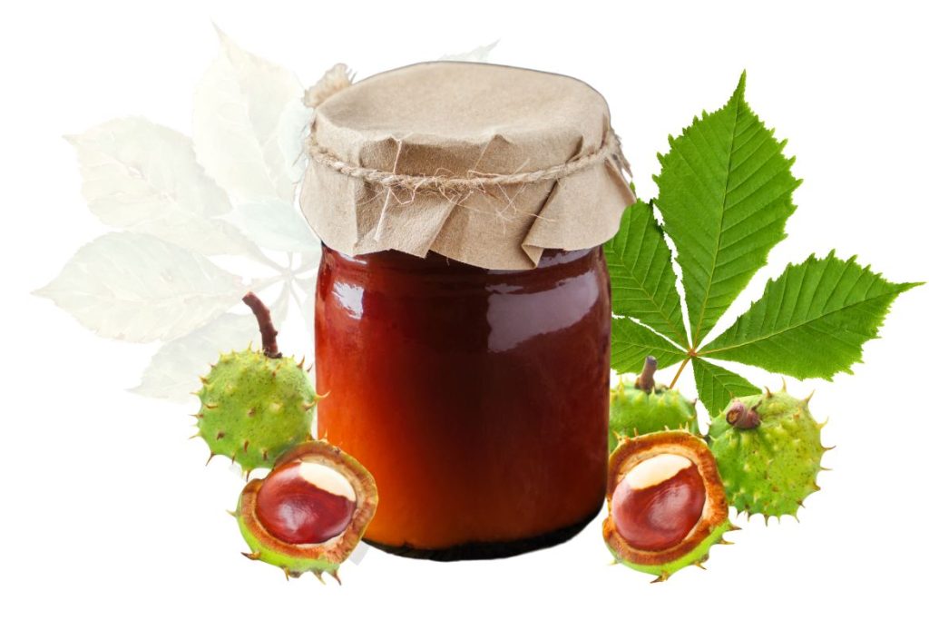 How to Make Horse Chestnut Salve Uses - 3 Old Recipes - MyNaturalTreatment.com