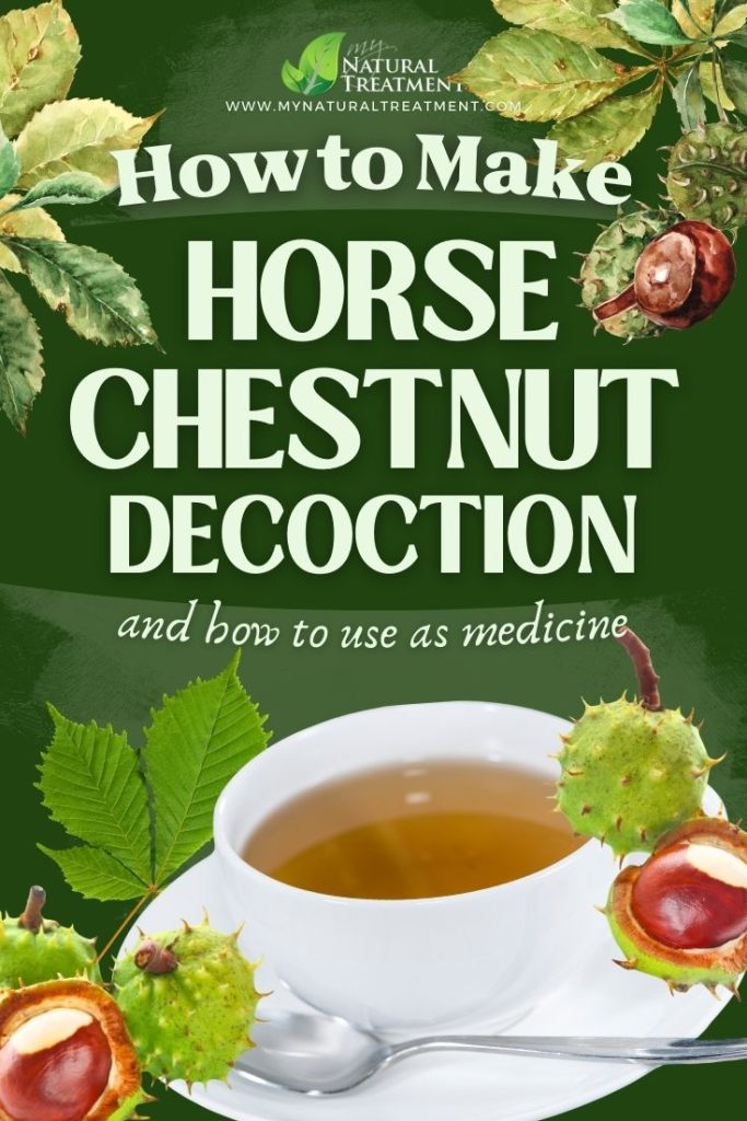 How to Make Horse Chestnut Decoction and Use at Home 6 How to Make Horse Chestnut Decoction - Horse Chestnut Uses - MyNaturalTreatment.com