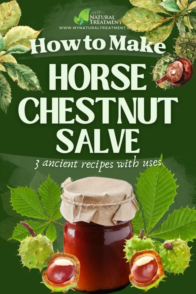 How to Make Horse Chestnut Salve - Horse Chestnut Uses - MyNaturalTreatment.com