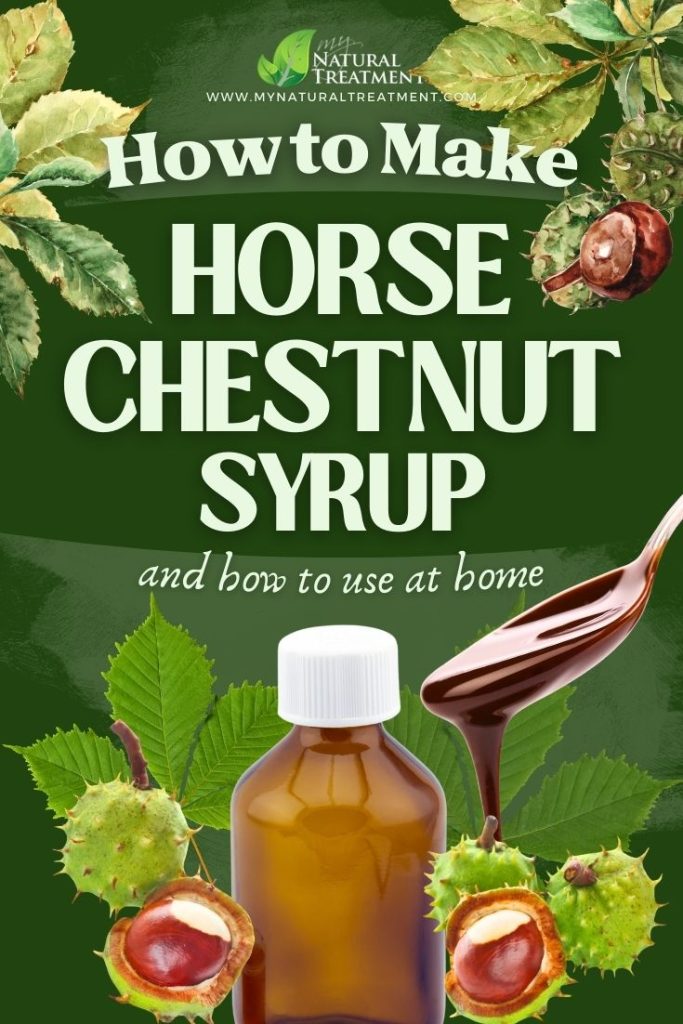 How to Make Horse Chestnut Syrup for Anemia 5 How to Make Horse Chestnut Syrup for Anemia - Horse Chestnut Uses - MyNaturalTreatment.com