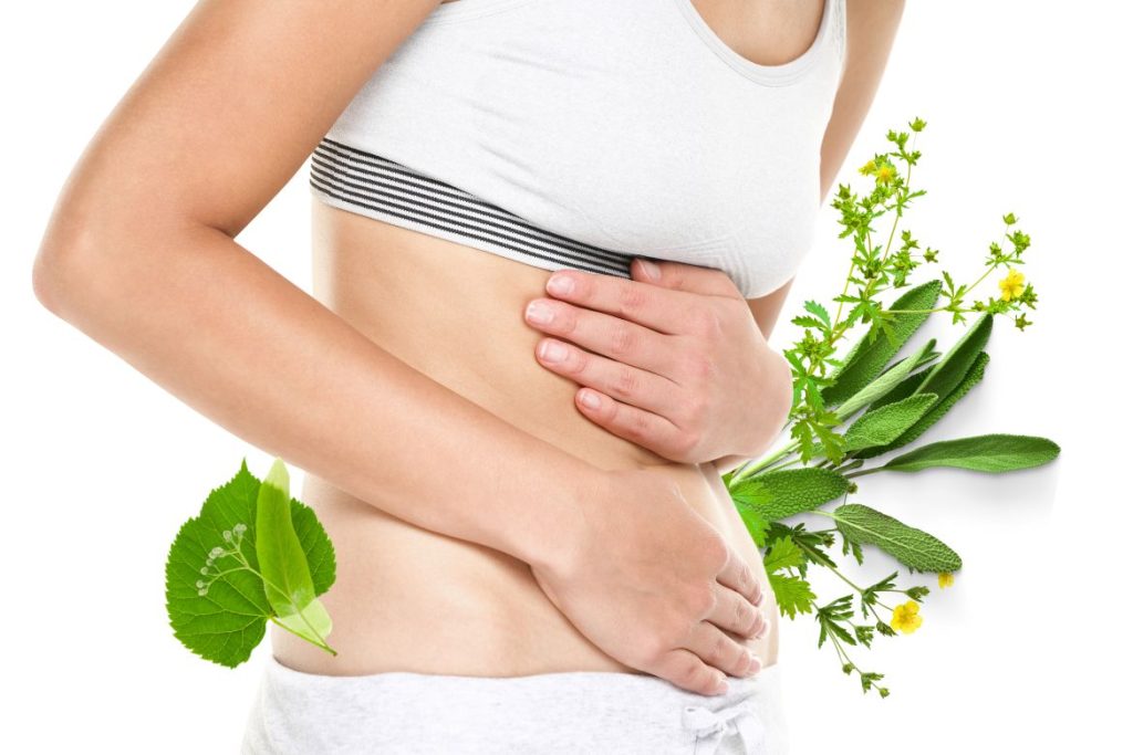 8 Tyrol Remedies for Digestive Problems - Eva Lubke's Remedies 3 Tyrol Remedies for Digestive Problems - Eva Lubke's Remedies - MyNaturalTreatment.com