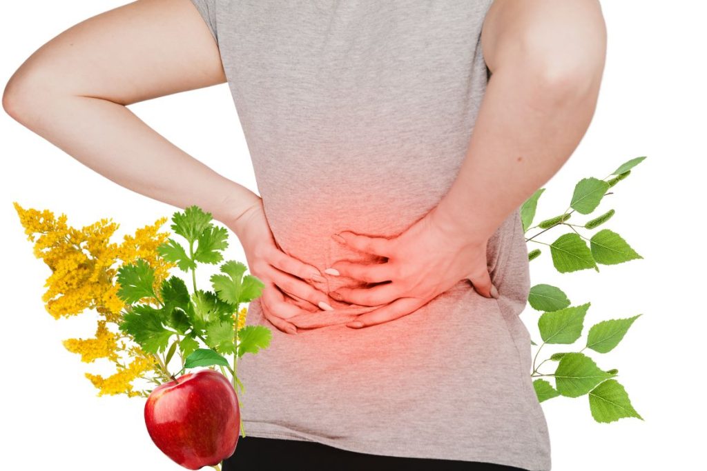 5 Amazing Tyrol Remedies for Kidney and Bladder Problems 3 7 Almost Forgotten Tyrol Remedies for Kidney Problems - MyNaturalTreatment.com